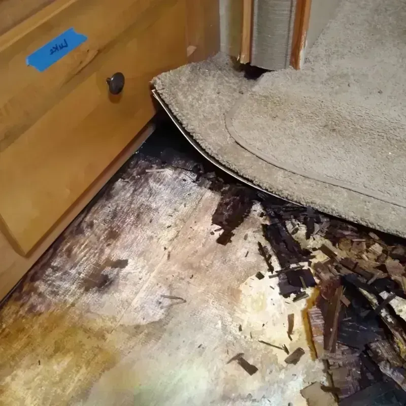 Wood Floor Water Damage in Raleigh, NC